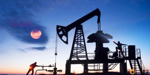 歐佩克維持產量不變疊加美聯儲風險預警，國際石油市場面臨復雜考驗